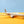DIE-CAST MODEL — 🇦🇪 Etihad Airways — Boeing 787-9 Dreamliner — Choose Italy — Herpa — 1:500 — WITH ORIGINAL BOX —