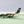 DIE-CAST MODEL — 🇮🇶 Iraqi Airways — Ilyushin IL-76 — Herpa — 1:500 — WITH ORIGINAL BOX —