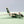 DIE-CAST MODEL — 🇮🇶 Iraqi Airways — Ilyushin IL-76 — Herpa — 1:500 — WITH ORIGINAL BOX —