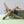 DIE-CAST MODEL — 🇮🇶 Iraqi Airways — Ilyushin IL-76 — Herpa — 1:500 — WITH ORIGINAL BOX —