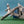 DIE-CAST MODEL — 🇦🇺 Royal Australian Air Force — Airbus A330 MRTT — Dragon Wings — 1:400 — WITH ORIGINAL BOX —