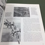 RAF in action 1939-1945 — Images from air cameras and war artists — Big size — like NEW —