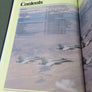 MODERN AIR COMBAT — The aircraft, tactics and weapons employed in aerial warfare today