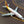 DIE-CAST MODEL — 🇵🇪 Peruvian Airlines — Boeing 737-200 — Herpa — 1:500 — WITH ORIGINAL BOX —