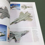 MIKOYAN MiG-31 INTERCEPTOR — FLIGHT CRAFT  8 —