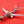 DIE-CAST MODEL — 🇦🇺 Qantas — Boeing 737-800 — Herpa — 1:500 — WITH ORIGINAL BOX —