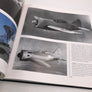 CHASSEURS - LES GRANDS AS ET LEURS AVIONS -