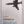 Dictionary of Aviation (NEW OLD STOCK)