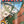BIGGLES - LE BAL DES SPITFIRE