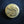 Veste de commandant de bord d'Air France