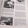 L'AVIATION DE VICHY AU COMBAT [Tome I & Tome II]