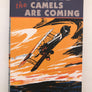 BIGGLES the CAMELS ARE COMING