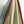 BALLOON TYTLER