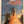 Jane's 1981 - 1982 AVIATION ANNUAL